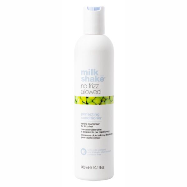 No Frizz Allowed conditioner