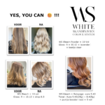 Promo Pack WS Colour System