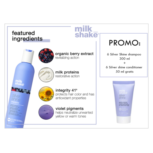 Silver Shine Promo