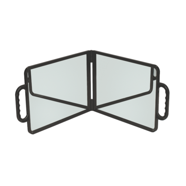 Bi-Vision Spiegel